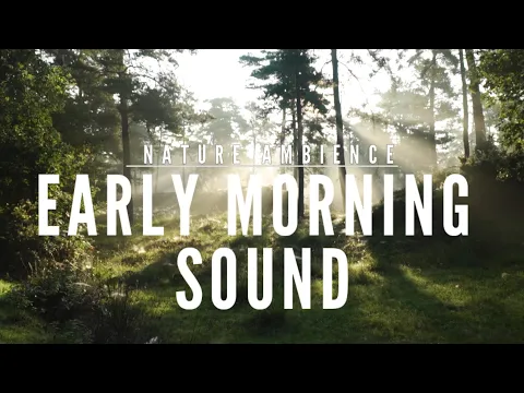 Download MP3 EARLY MORNING SOUNDS WITH NATURE AMBIENCE