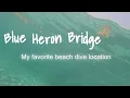 Blue Heron Bridge 8-16-26