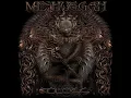 Meshuggah - Demiurge