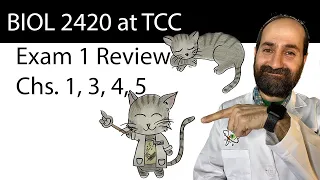 BIOL 2420 Exam 1 Review at TCC