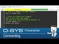 Scripting Basics B - Commenting EN