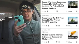 Reacting To Cannabis News on Reddit