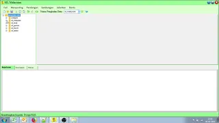 SIL - MALAY POSTGRESQL USER DEFINED FUNCTIONS 4