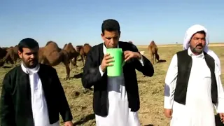 ابراهيم بو خشيم عالم غريب  ابراهيم بو خشيم عالم غريب
