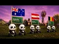 Panda Population By Country