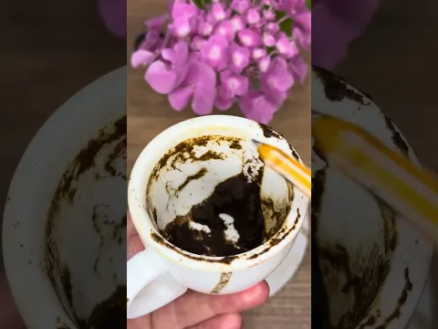 🩶 Куда утекает твоя энергия прямо сейчас? — Margo PRO magic