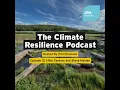 Nature-based solutions Creating resilient places and landscapes