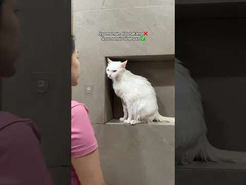 Stop nanya tempat owie berasal ya netizen😅
