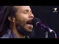 Ziggy Marley - Beach In Hawaii (Live at Lollapalooza Chile 2019)