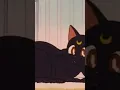 Luna and Artemis s work -