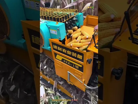 Best Farming Machine : Harvesting & Peeling Corn in One Machine .