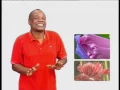 Download Lagu kalú mendes - djêlo mali tlabadu