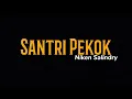 Download Lagu Niken Salindry - Santri Pekok (Lirik)