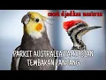 Download Lagu PARKIT AUSTRALIA | FALK GACOR FULL TEMBAKAN DURASI PANJANG, COCOK JADI MASTERAN BURUNG LOMBA