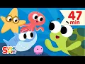 Download Lagu Down In The Deep Blue Sea + More! | Super Simple Songs