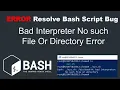 Resolve Bash Script Bad Interpreter No such File Or Directory Error