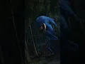 Download Lagu Shin Sonic is Hungry #shorts #horror #creepy #cursed