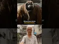 Download Lagu Did you know that for THE JUNGLE BOOK...