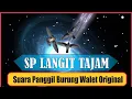 Download Lagu SP Langit Tajam, Suara panggil dan tarik Burung Walet  Berkwalitas Dan Jernih. swiftlet sound 2021