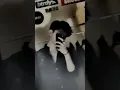 Download Lagu Dj Sunda Saukur Ngimpi Viral Tiktok🔥#fyp #shorts