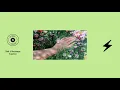 .Sinh & Massaman - Planted