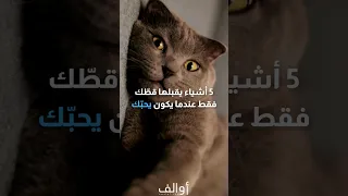 5 أشياء يقبلها قطك فقط عندما يكون يحبك قطط قطة  5 أشياء يقبلها قطك فقط عندما يكون يحبك قطط قطة