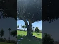 John Wayne Gravesite 2018