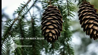 Download Pena Pagi - Air Mata Hujan MP3