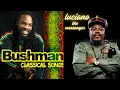 Download Lagu DJ FRESH🔥🔥   LUCIANO \u0026 BUSHMAN MIX