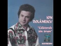 Download Lagu De-aș avea fântână-n curte - Ion Dolănescu