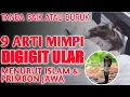 9 Arti Mimpi Digigit Ular