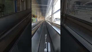 ملوك النزاهه 