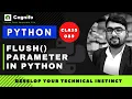 89 flush parameter in Python