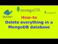 How to Delete everything in a MongoDB database