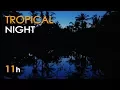 Download Lagu Tropical Night - Jungle Lake Sounds for Sleeping - Frogs \u0026 Crickets - 11 Hours - Relaxing Nature