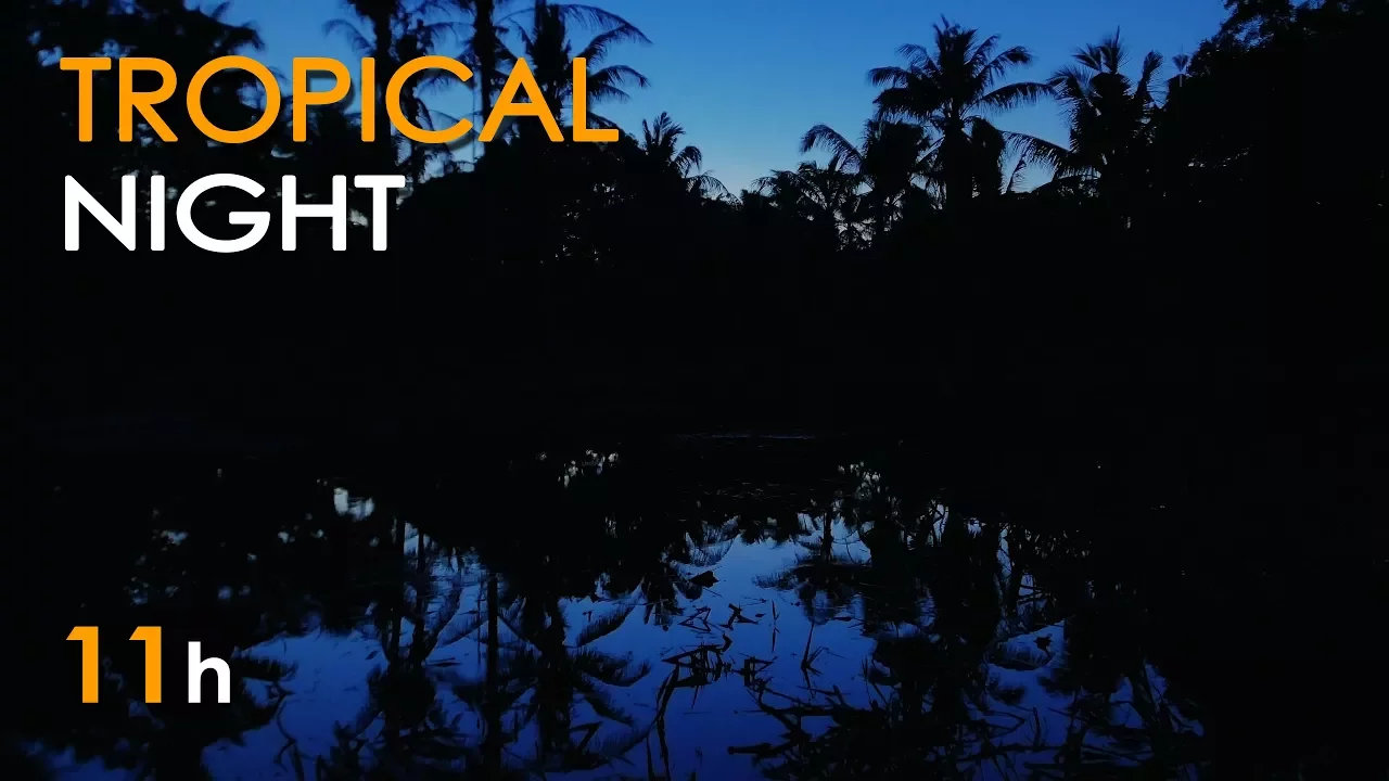 Tropical Night - Nature Sounds for Sleeping - Frogs & Crickets - 11 Hours Long - Relaxing HD Video