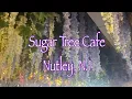 Sugar tree cafe restaurant