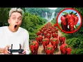 Lagu мой дрон снял STRAWBERRY ELEPHANT в Реальной Жизни!