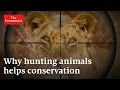 Why trophy hunting helps protect animals