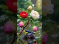 Download Lagu Adho vanile nila oorvalam #song #songs #shortvideo  #ilayaraja #shorts #short  #90s #birds #music