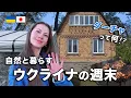 Download Lagu 爆音のない週末 | ウクライナの田舎で過ごす希望の時間