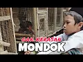 (Eps.2) GAK KERASAN MONDOK || \