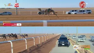 ش   سيف   الوارية  ل  هجن الرئاسة            جائزة الملك عبدالعزيز            حول الصياهد دندنها