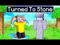 Lagu Cash TURNED TO STONE In Minecraft!