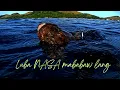 Download Lagu Vlog #603 Labasan sadating spot jackpot agad #philippines#spearfishing