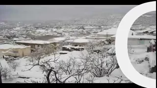                       دندنها