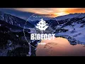 Download Lagu Watch Before They Silence This: The Nightmare of Bigfoot Attacks