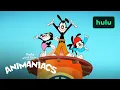 Animaniacs Silly Sing-A-Long Catch Up Hulu