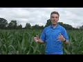 Corn Planting Depth Study