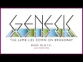 Download Lagu Genesis - Back In N.Y.C. (2025 Remaster)